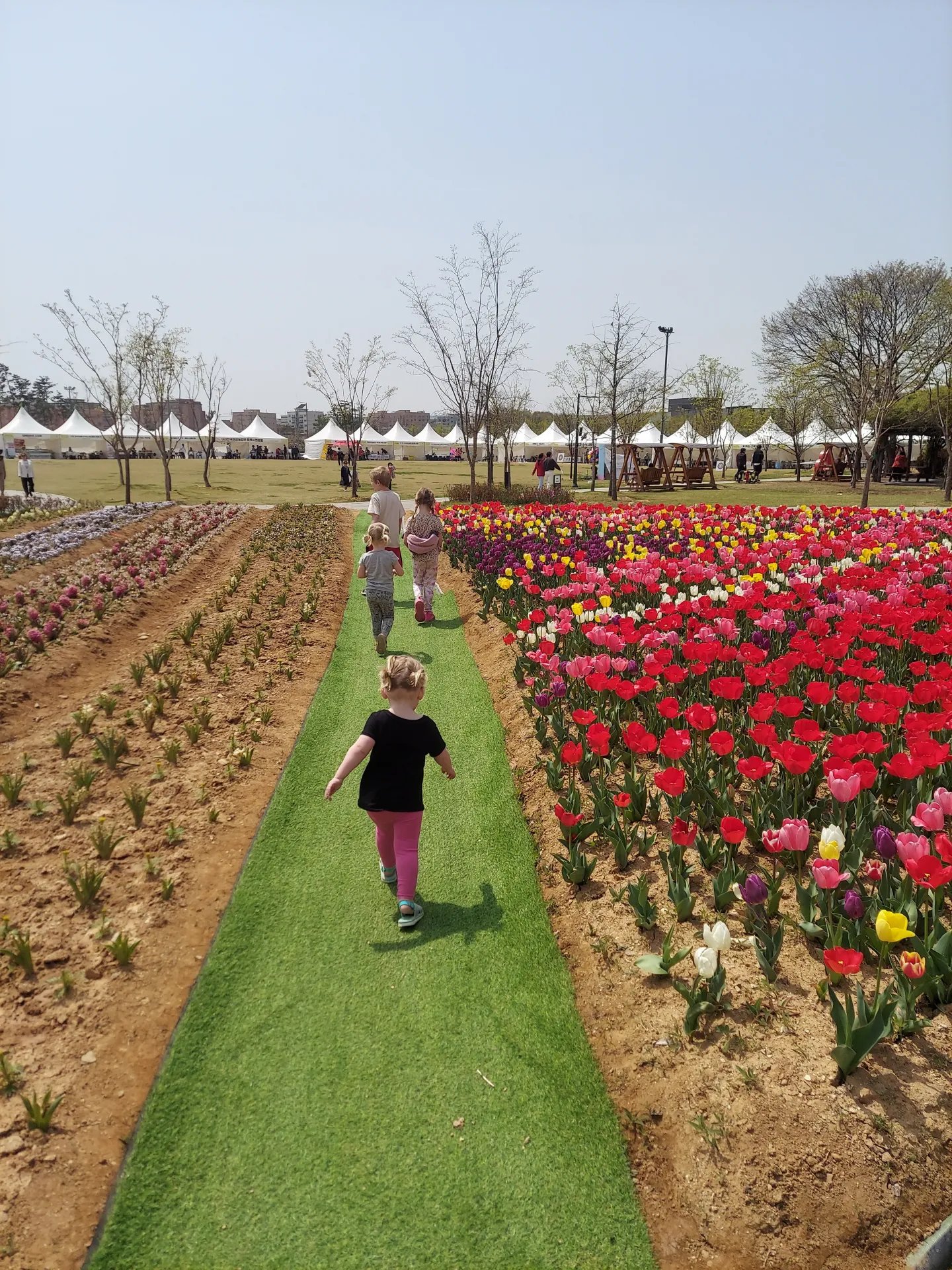 🏞️ 시즈오카 현영 요시다 공원 (시즈오카켄에이 요시다코엔) 이미지 11